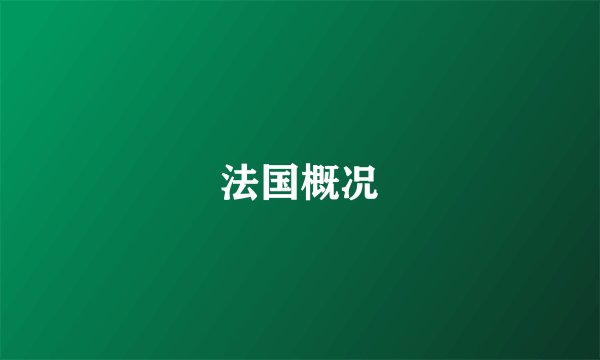 法国概况