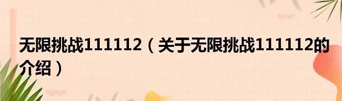 无限挑战111112（关于无限挑战111112的介绍）
