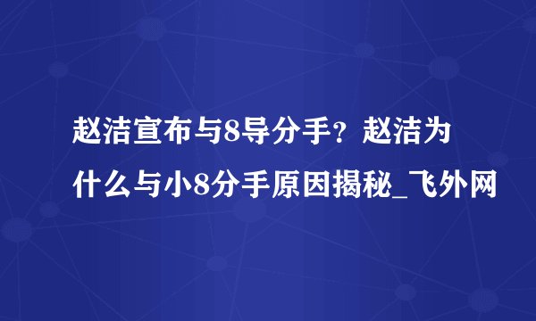 赵洁宣布与8导分手？赵洁为什么与小8分手原因揭秘_飞外网