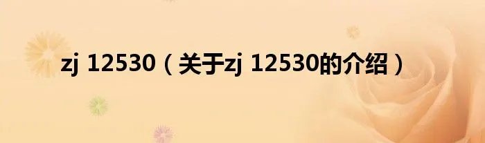 zj 12530（关于zj 12530的介绍）