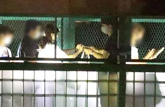 柏原崇和内田有纪:日本娱乐圈顶级颜值情侣的新动向