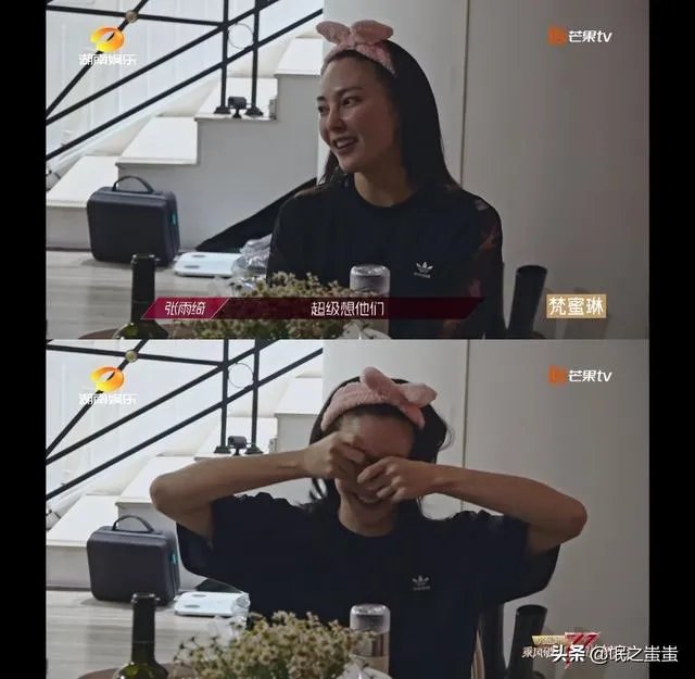 张雨绮有一对双胞胎孩子,是怎么一回事?