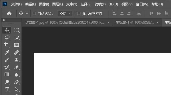 电脑制版一般用什么软件