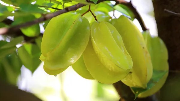 生病时吃什么食物比较好 常吃这几种食物能帮你缓解病痛