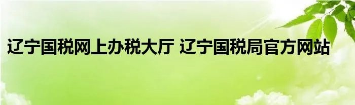 辽宁国税网上办税大厅 辽宁国税局官方网站