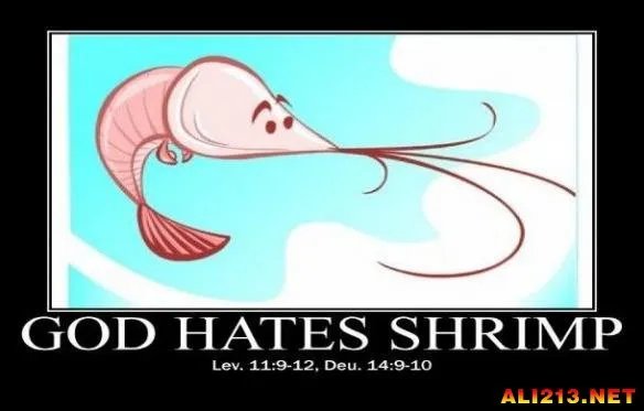 15个非常有趣的奇特网站 它们将给你带来全新的体验