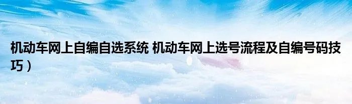 机动车网上自编自选系统 机动车网上选号流程及自编号码技巧）