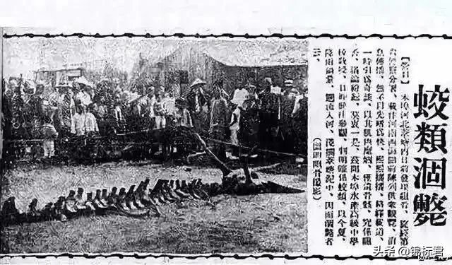 贵州回应山里有“龙吟”，世界上真的有龙的存在吗？