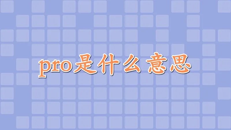 pro是什么意思中文