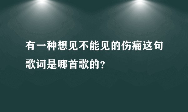 有一种想见不能见的伤痛这句歌词是哪首歌的?
