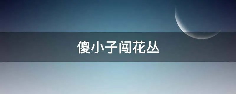 傻小子闯花丛