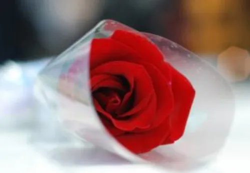 逗女生开心的幽默套路有哪些 高情商的哄人句子有哪些