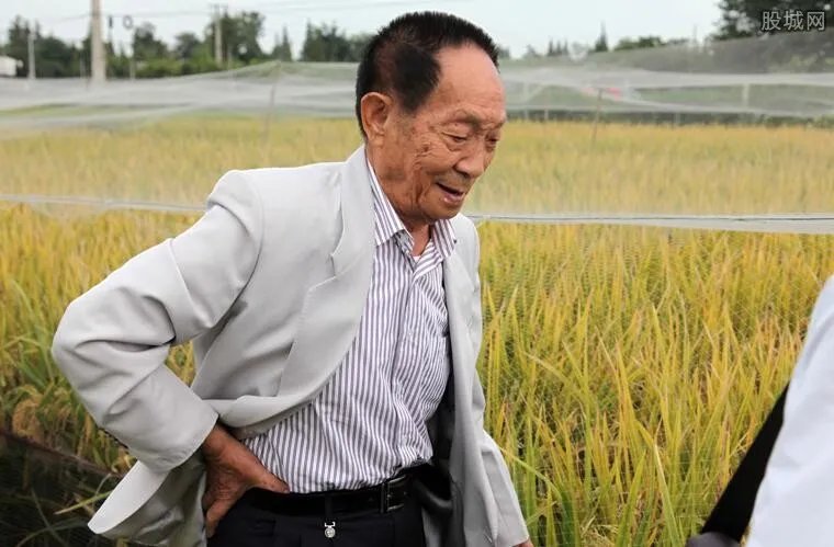 袁隆平在国际上真实地位 为世界作出巨大贡献