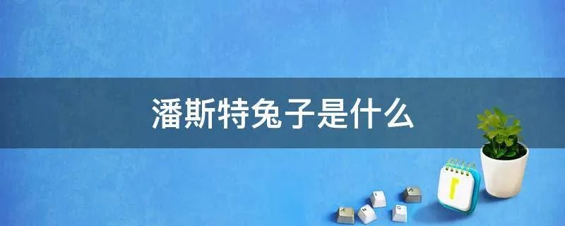 潘斯特兔子是什么