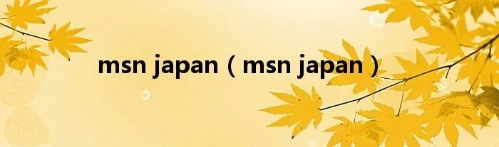 msn japan（msn japan）