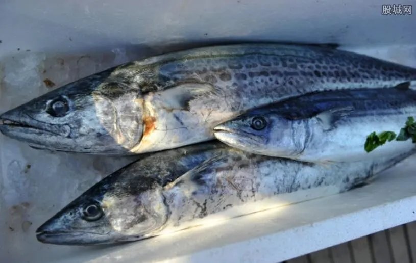 两条小黄鱼“吃”掉顾客4628元 餐馆违反明码标价