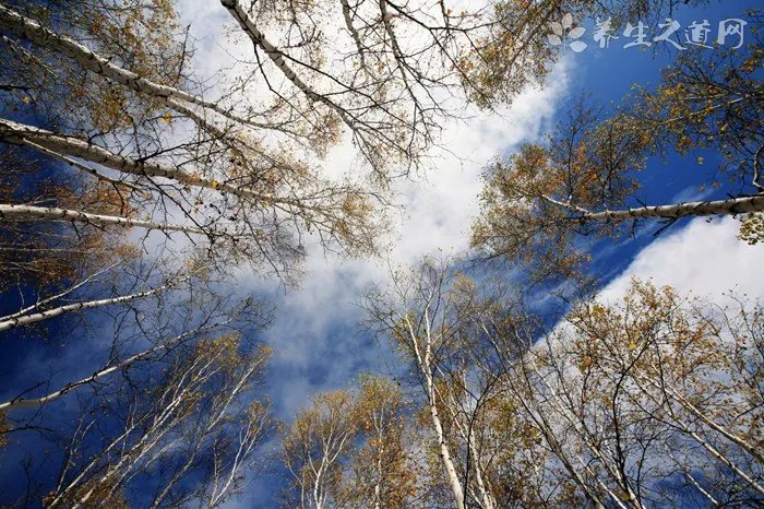 芝加哥遇极寒天气 冬季应该如何御寒