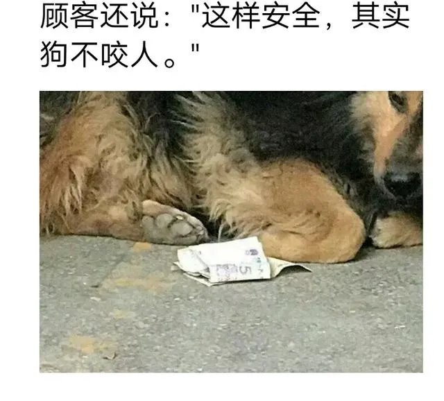 外卖单奇葩留言让外卖小哥哭笑不得,你还收到什么奇葩留言?