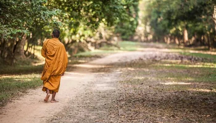 出世和入世的意思 出世入世的区别 入世和出世分别是什么意思