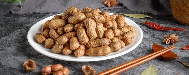 俗称长生果是指什么果 俗称长生果的是指什么