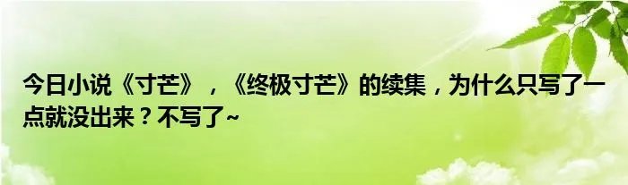 今日小说《寸芒》，《终极寸芒》的续集，为什么只写了一点就没出来？不写了~