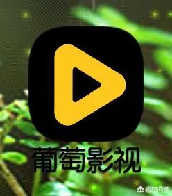 可以免费看tvb剧的网站