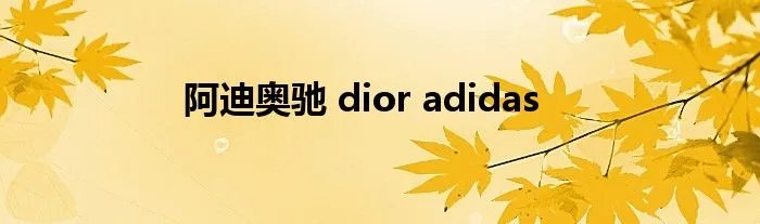 阿迪奥驰 dior adidas