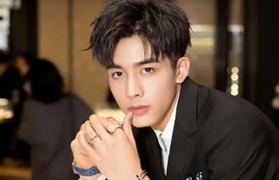 张公案作者反对某演员演张屏 某演员原来是他真相来了