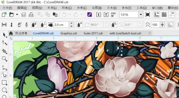 电脑制版一般用什么软件