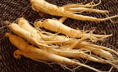 高端养生滋补品都有哪些?