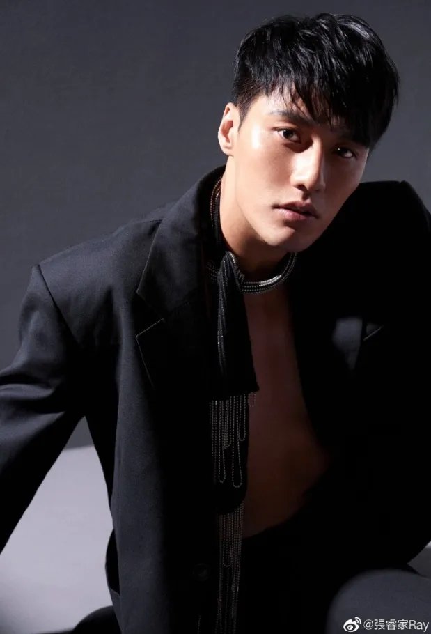 张睿家和陈彦妃是什么关系 他为什么不出新剧不红了