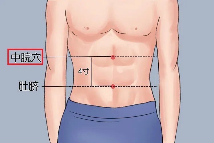 人体中脘准确位置图
