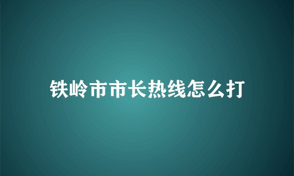 铁岭市市长热线怎么打