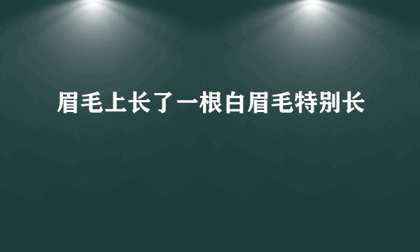 眉毛上长了一根白眉毛特别长