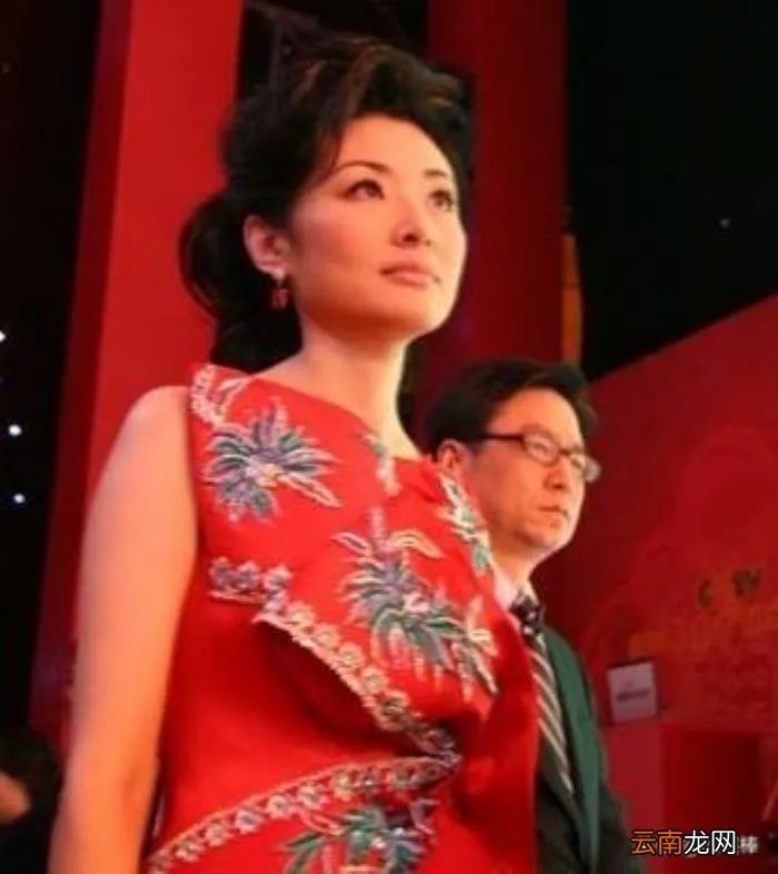 令人惊艳的春晚主持人服装 春晚主持人服装