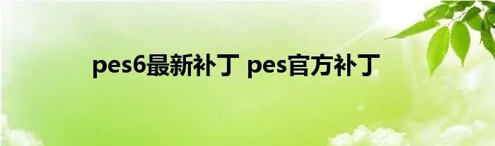 pes6最新补丁 pes官方补丁