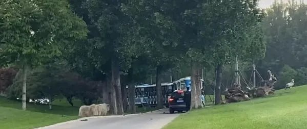 园方通报游客野生动物园擅自下车,到底是怎么回事?