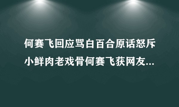 何赛飞回应骂白百合原话怒斥小鲜肉老戏骨何赛飞获网友支持_飞外网