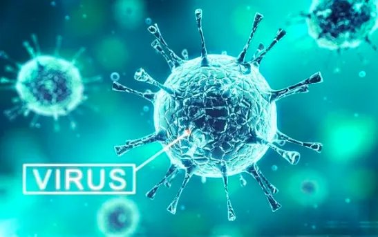 扬州本轮疫情集中在哪两条传播链？