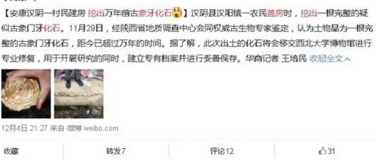 盖房挖出象牙化石专家鉴定说了什么?