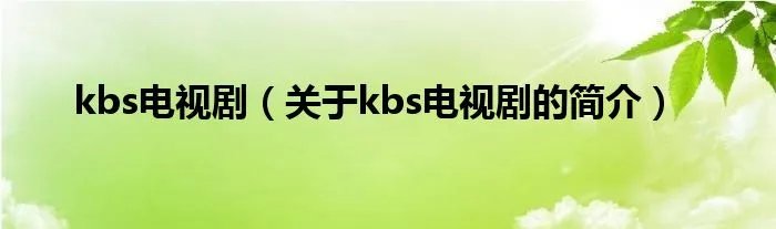 kbs电视剧（关于kbs电视剧的简介）