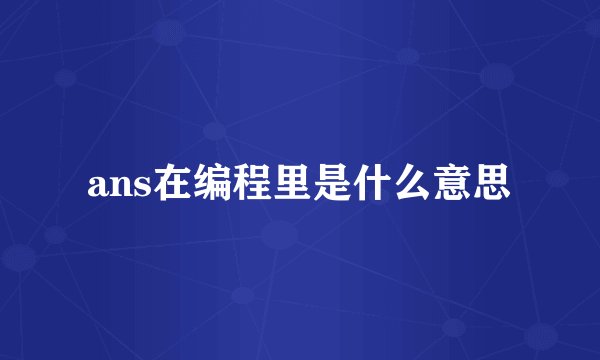 ans在编程里是什么意思