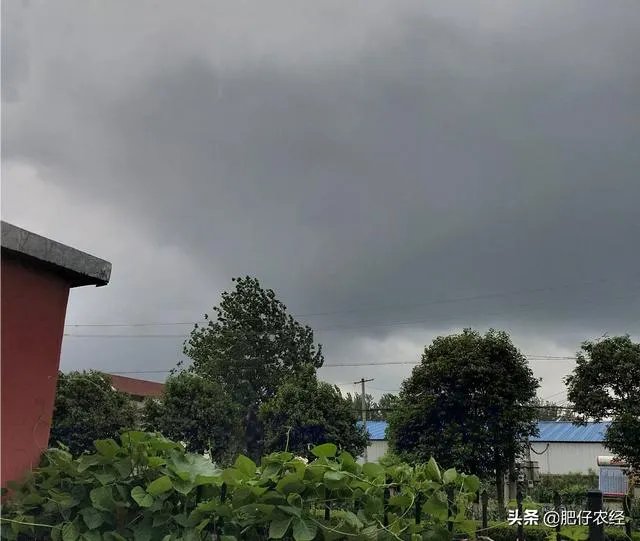 台风“利马奇”登陆我国,对农业造成影响,台风名字是谁给起的?台风名字怎么这么奇怪?