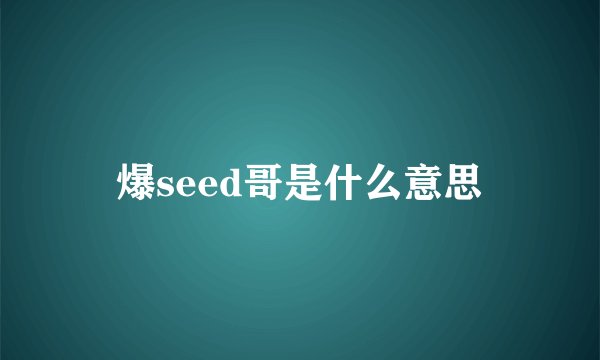 爆seed哥是什么意思