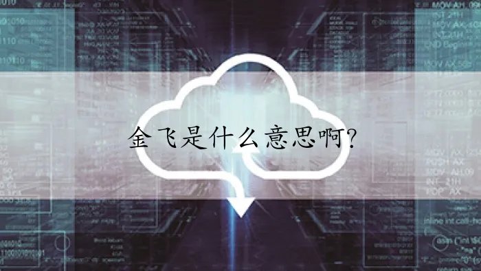 金飞是什么意思啊？