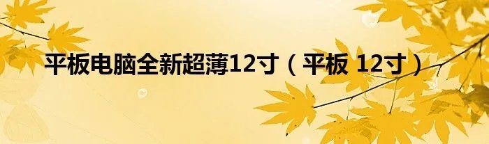 平板电脑全新超薄12寸（平板 12寸）