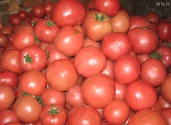 靠卖西红柿买3套房 为什么卖西红柿这么赚钱