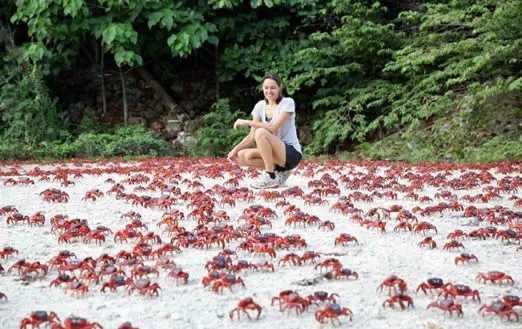 旅行无意发现这幕:近看惊呆了!(组图)