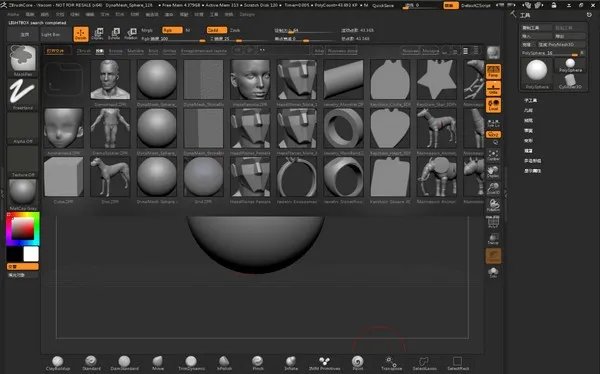 zbrush3.1