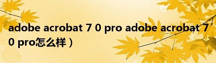 adobe acrobat 7 0 pro adobe acrobat 7 0 pro怎么样)